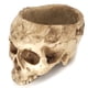 thumbnail image 2 of Maceta Flowerpot de resina con diseño gótico de calavera para suculentas, 600 g, 2 of 5