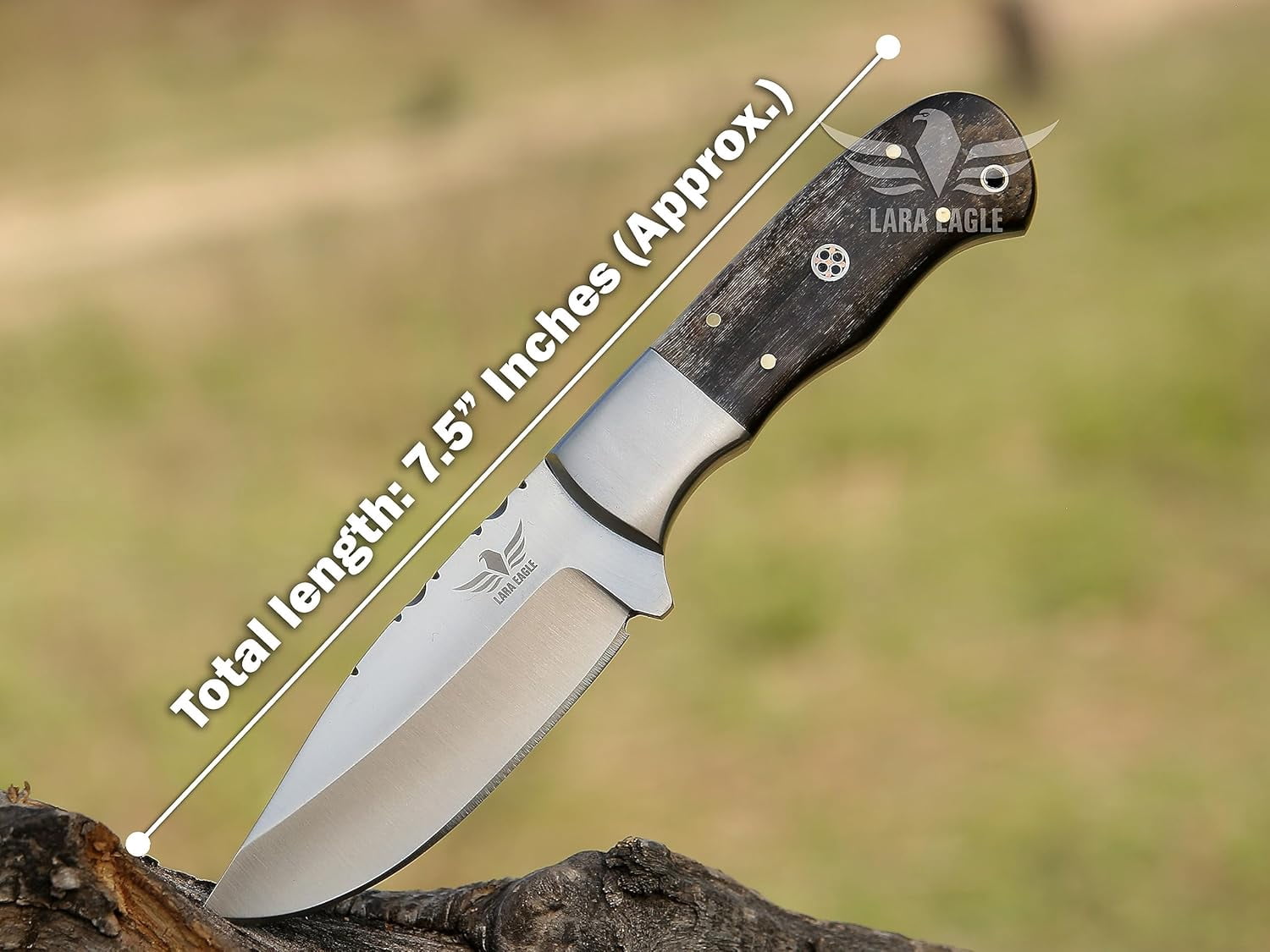 Lara Eagle Damascus Hunting Knife - Fixed Blade Handmade Skinner with Sheath - 7.5 inch Survival Knife Great for Camping - Camel bone Handle with mosaic pin