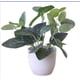 thumbnail image 2 of 1PC Plantas Artificiales en Maceta Plantas Verdes Bonsai con Maceta Redonda Blanca, 2 of 7