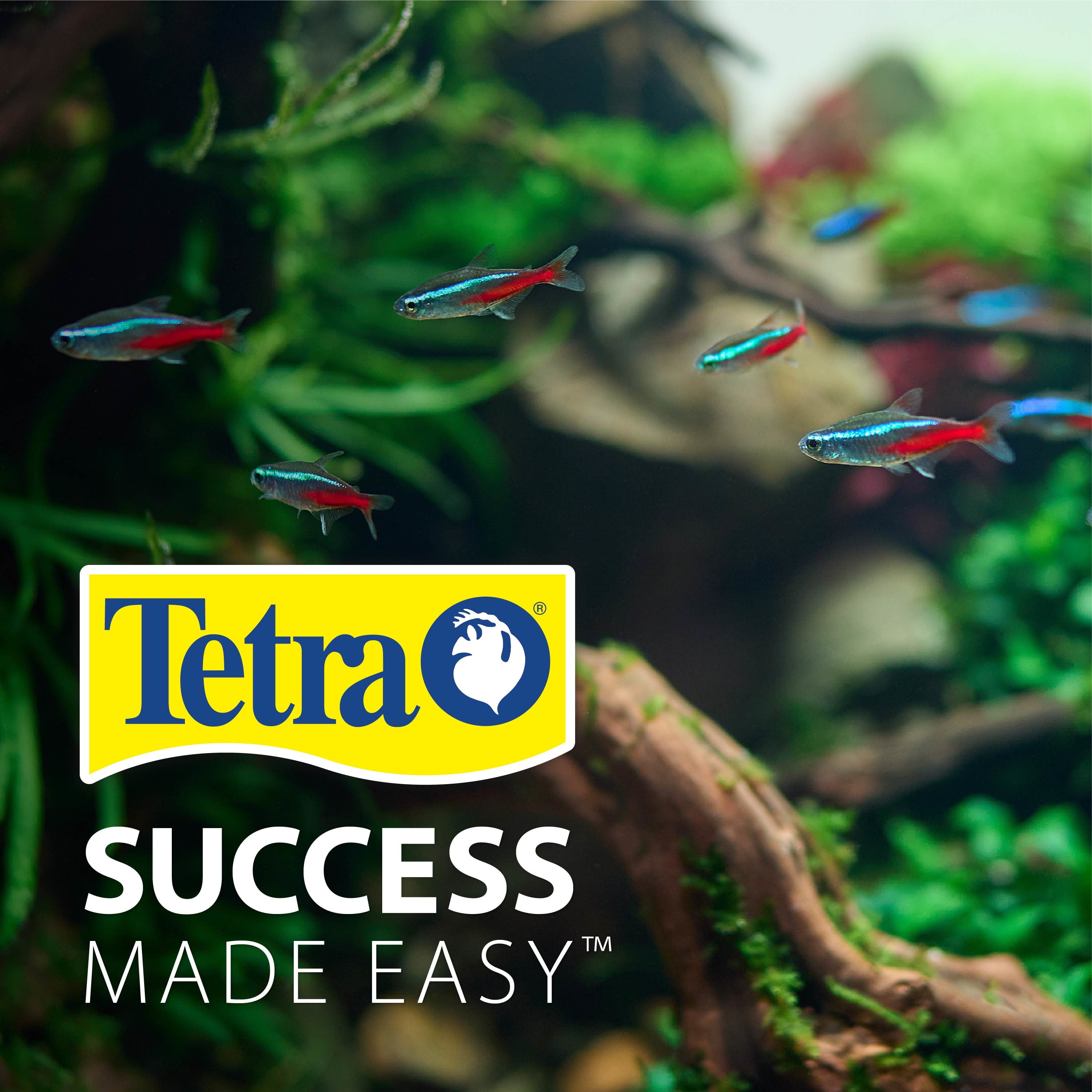 Tetra 10 Gallon Glass LED Aquarium Kit