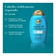 thumbnail image 3 of Acondicionador Ogx con aceite de argán de Marruecos 385 ml, 3 of 4