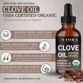 thumbnail image 2 of Aceite esencial de clavo orgánico Fiora Naturals 30 ml para dientes, 2 of 8