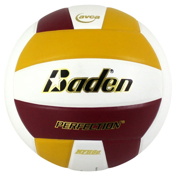 Perfection Leather Volleyball