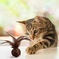thumbnail image 2 of Cat Toys for Indoor Cats Cats Toy Ball with Natural Feather Cats Toys for Indoor Cats Cats Sound Ball Toy Interactive Cats Chew Toys for Cats Kittens Interactive Cat Toy, 2 of 7