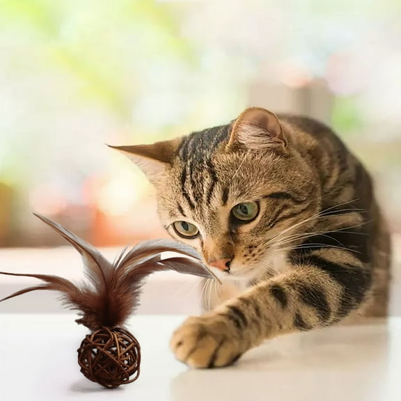SSZMDLB under $5 Cat Chew Toy, Cat Toy, Natural Rattan Woven Ball, Feather Attached Interactive Play, Chew Teething Exercise, Indoor Kitten Entertainment, Bell Sound Inside