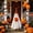 Orange, variant on Halloween Porch Goose Costume Set, Witch Hat Trick-or-Treat Outfits Cute Spooky Goose Decor for Front Yard Porch Display