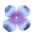 thumbnail image 3 of Paquete De 500 / Juego De De De Seda Flor Niña Asperja Decoración Colcomx  Pétalos de seda de la hortensia, 3 of 8