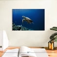 thumbnail image 3 of Elephant Stock Turtle Adventure Wall Art - Horizontal Canvas Wall Art - Living Room Wall Decor - Animal Canvas - Blue And Turquoise Decor - 12" x 8", 3 of 8