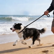 Nylon Dog Leash with Adjustable Loop and Padded Handle – Durable Pull-Proof Walking Leash for Small to Medium Dogs