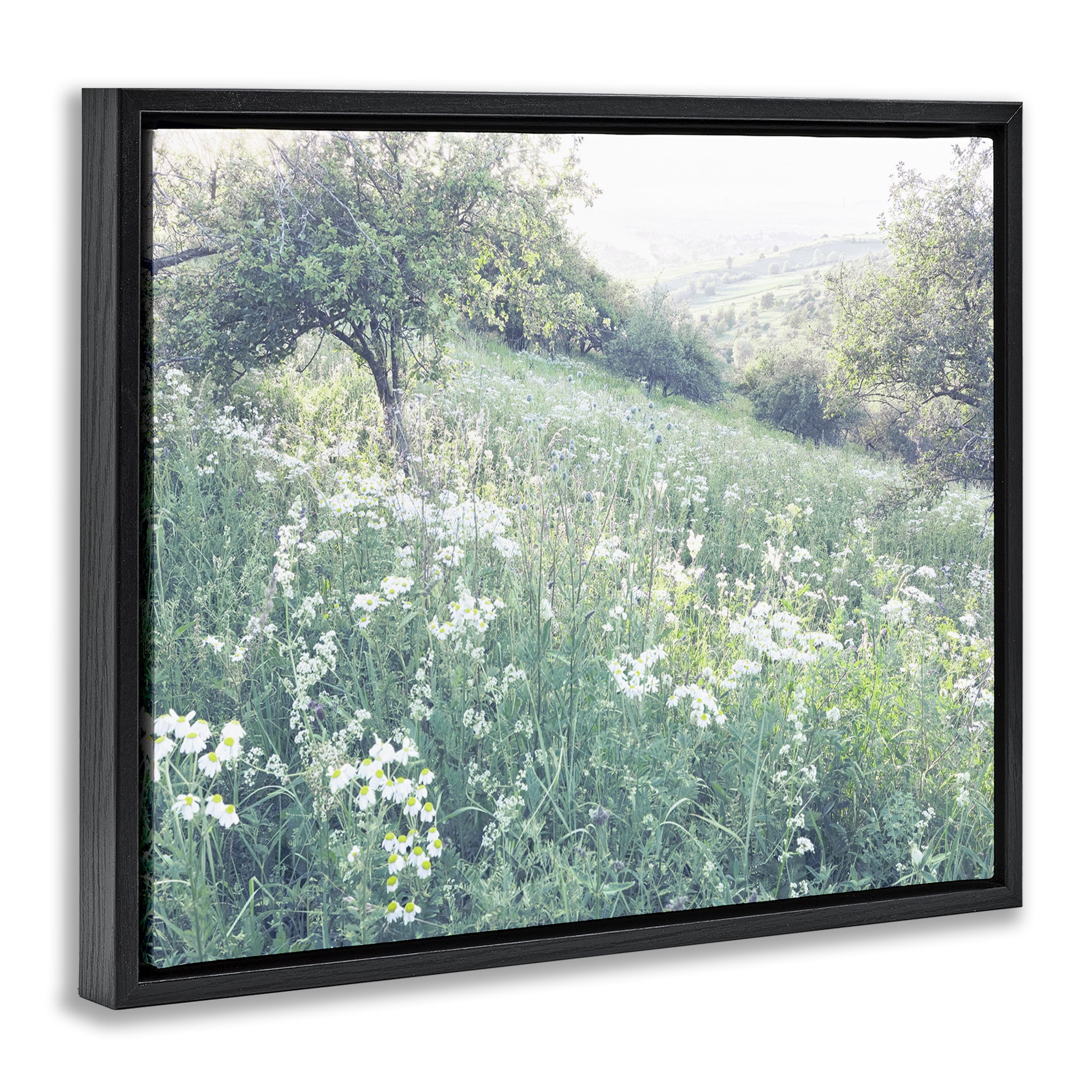 Stupell Industries Sunny Daisies in Meadow Black Framed Floater Canvas Wall Art, design by Leah Straatsma