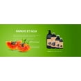 thumbnail image 2 of BES Parfum - Masque Papaye et Goji 300ml, 2 of 3