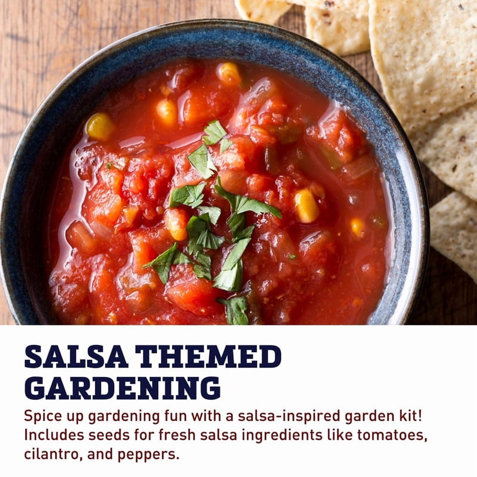 Harris Seeds Grow Gardens Grow Salsa Kit with Heirloom Seeds, Egg Carton Planter and Recipes