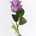 thumbnail image 3 of PENGXIANG 5 Packs 19.7 inch Wedding Rose  Single Branch Moisturizing Rose Valentine‘s Day Decorative Roses Silk Roses Flower Imitation Flowers, 3 of 9