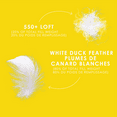 thumbnail image 4 of Couette en Plumes et Duvet Blanche - Poids Régulier - Format Grand Lit, 4 of 8