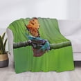 thumbnail image 3 of Naloa Butterfly Landing On Head Dumpy Frog Flannel Fleece Throw Blanket for Bed Couch, Thick Blanket - All Seasons Suitable for Women, Men and Kids-80"x60", 3 of 6