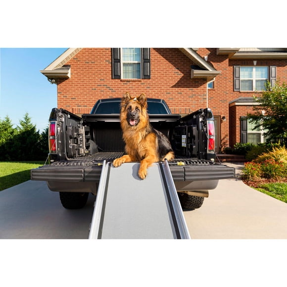 Large Dog Car Ramp