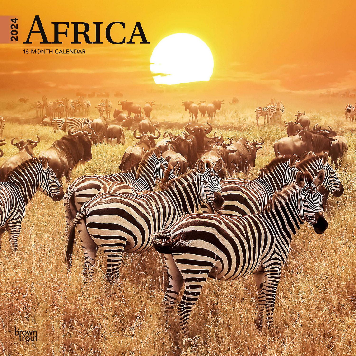 BrownTrout L'Afrique 2024 Mur Carré 30.48x60.96 CM, 9781975467357