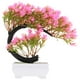 thumbnail image 1 of unbranded Decorativo Bonsái Artificial Color Rosa Para De Hogar Y Oficina, 1 of 6