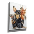 thumbnail image 2 of Epic Graffiti 'Miniature Pinscher Medley' by Barbara Keith, Canvas Wall Art, 26"x34", 2 of 8