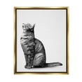thumbnail image 3 of Stupell Industries Manx Cat Sitting Calmly Detailed Casual Portrait Graphic Art Metallic Gold Floating Framed Canvas Print Wall Art, Design by Ziwei Li, 3 of 5
