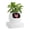 Ivory, variant on PLANTSIO Smart pet Planter Robot Guidance on Plant Care with Emojis, Adorable Plant Companion with Rich Gesture Interaction, Neat Desk Setup Gift (White)
