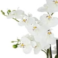 "Dahlia Studios White Phalaenopsis Faux Orchid in Textured Silver Resin