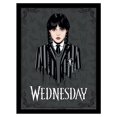 thumbnail image 1 of Wednesday Wednesday Addams Framed Poster, 1 of 3