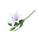 thumbnail image 5 of 5 flores artificiales de lirio de PVC para decoración del hogar, bodas y fotos (blanco y rosa), 5 of 5