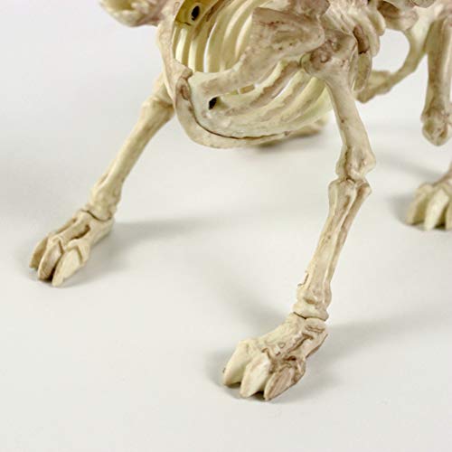 BESTOYARD Halloween Animal Skeleton Props Skeleton Dragon Halloween Decorations Creepy Decor Party Props 