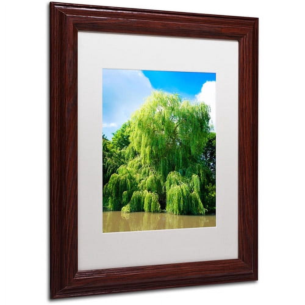 Trademark Fine Art "Weeping Willow" Canvas Art by Philippe Sainte-Laudy, White Matte, Wood Frame
