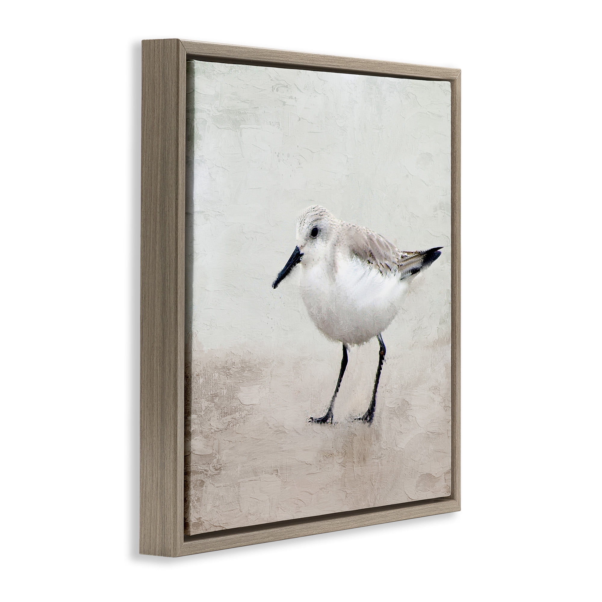 Stupell Industries Lone Sandpiper Bird Portrait Animals & Insects Painting Brown Floater Framed Canvas Art Print Wall Art, 18 x 18