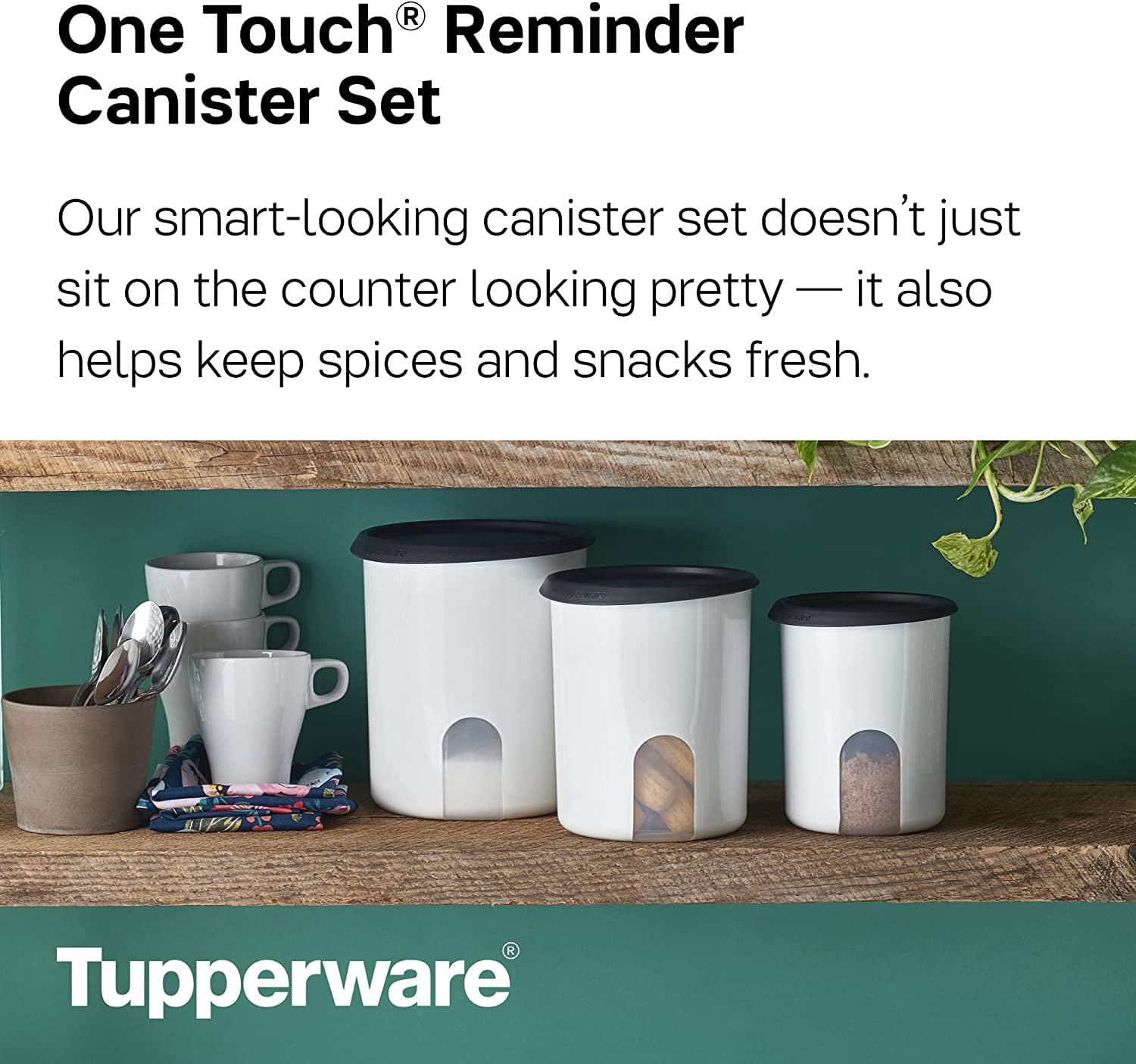 Tupperware Brand 8-Piece One Touch Reminder Canister Set (4 Dry Food Storage Containers + 4 Lids) - Black - Airtight, Dishwasher Safe & BPA Free