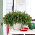 thumbnail image 6 of Artificial Christmas Branches, Norfolk Pine Branches, 17.7 Inch Faux Norfolk Pinaster Branches for DIY Xmas Crafts, Realistic Green Plastic Pine Needles, Durable Indoor Outdoor Holiday Decor, 6 of 6