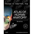 thumbnail image 1 of Netter Basic Science: Atlas Of Human Anatomy By Frank H. Netter, Revised 6th Edition, 1 of 1