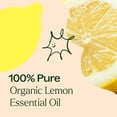 thumbnail image 5 of Plant Therapy Organic Lemon Essential Oil 100% Pure, USDA Certified Organic, Undiluted, Natural Aromatherapy, Therapeutic Grade 10 mL (1/3 oz), 5 of 8