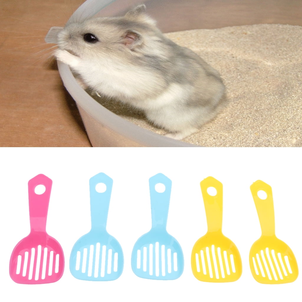 What Does Hamster Poop Look Like corona.dothome.co.kr