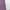 Purple, variant on Flat Shoes for Women Comfort Low Top Knitted Slip On Sneakers Classic Casual Walking Shoes Loafers Clearance Sale