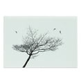 thumbnail image 1 of Black and White Cutting Board, Silhouette of a Tree and Flying Birds Simple Minimalistic Design Art, Decorative Tempered Glass Cutting and Serving Board, Large Size, Black White, by Ambesonne, 1 of 1