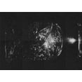 thumbnail image 1 of Ahgly Company Indoor Rectangle Patterned Night Black Area Rugs, 2' x 3', 1 of 6