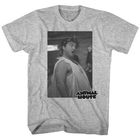 Animal House Toga Photo Gray Heather Adult T-Shirt 6Xl