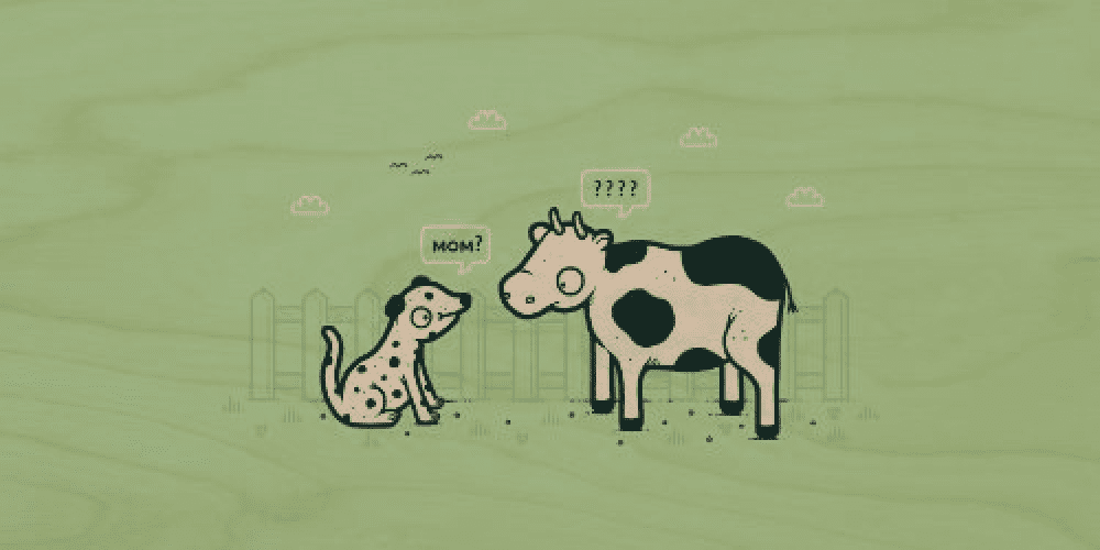 "Identity Crisis" Funny Dalmatian Puppy & Cow Spots