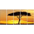 thumbnail image 2 of Beautiful Sunset Through Acacia Tree - African Landscape Canvas Art Print, 2 of 3