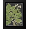 thumbnail image 2 of Vision Studio 19x24 Black Modern Framed Museum Art Print Titled - Dramatic Weinmann Greenery I, 2 of 5