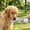 106#Gray, variant on Portable Pet Drinking Cup for Outdoor Use, Combines Small Water Cup and Food Cup, Leak Proof Portable Hydration Feeder, Convenient Travel Hiking Walking Accessory for Dogs Cats Pets