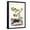 Black Frame, variant on Art.com Shoreline Purslane with a Common Surinam Toad Art Print by Maria Sibylla Merian, 12" x 18"