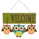 thumbnail image 1 of Bienvenida De Búho, Cartel De Puerta, Cartel Colgante De Pared Para Puerta Delantera, Decoración Del Hogar Vogacara HA039904-03, 1 of 6