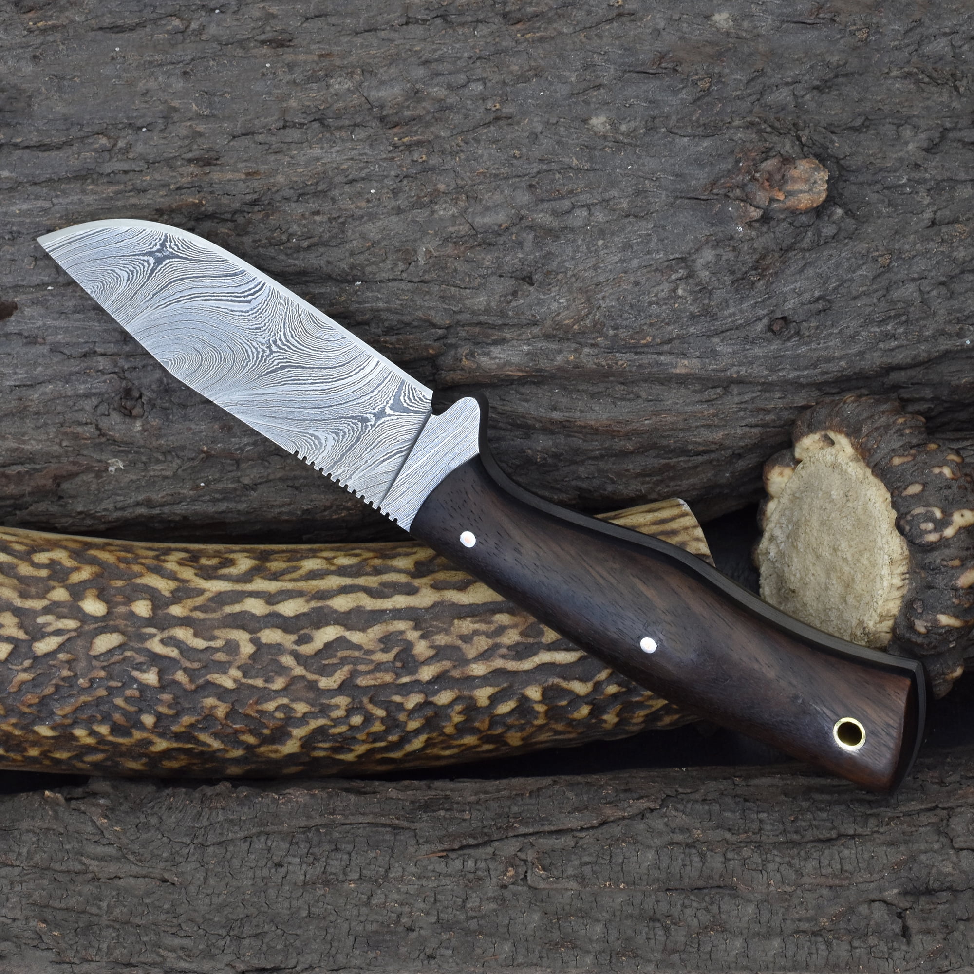 Knives Ranch 3070 Damascus Steel Outdoor Knife with Rosewood Handle – Strong Fixed Blade for Hunting, Camping, Utility Use & Everyday Carry Gear