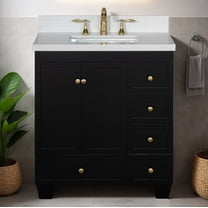 Lavanti Depos Solidwood 30-inch Bathroom Vanity with Sink - Stylish Black