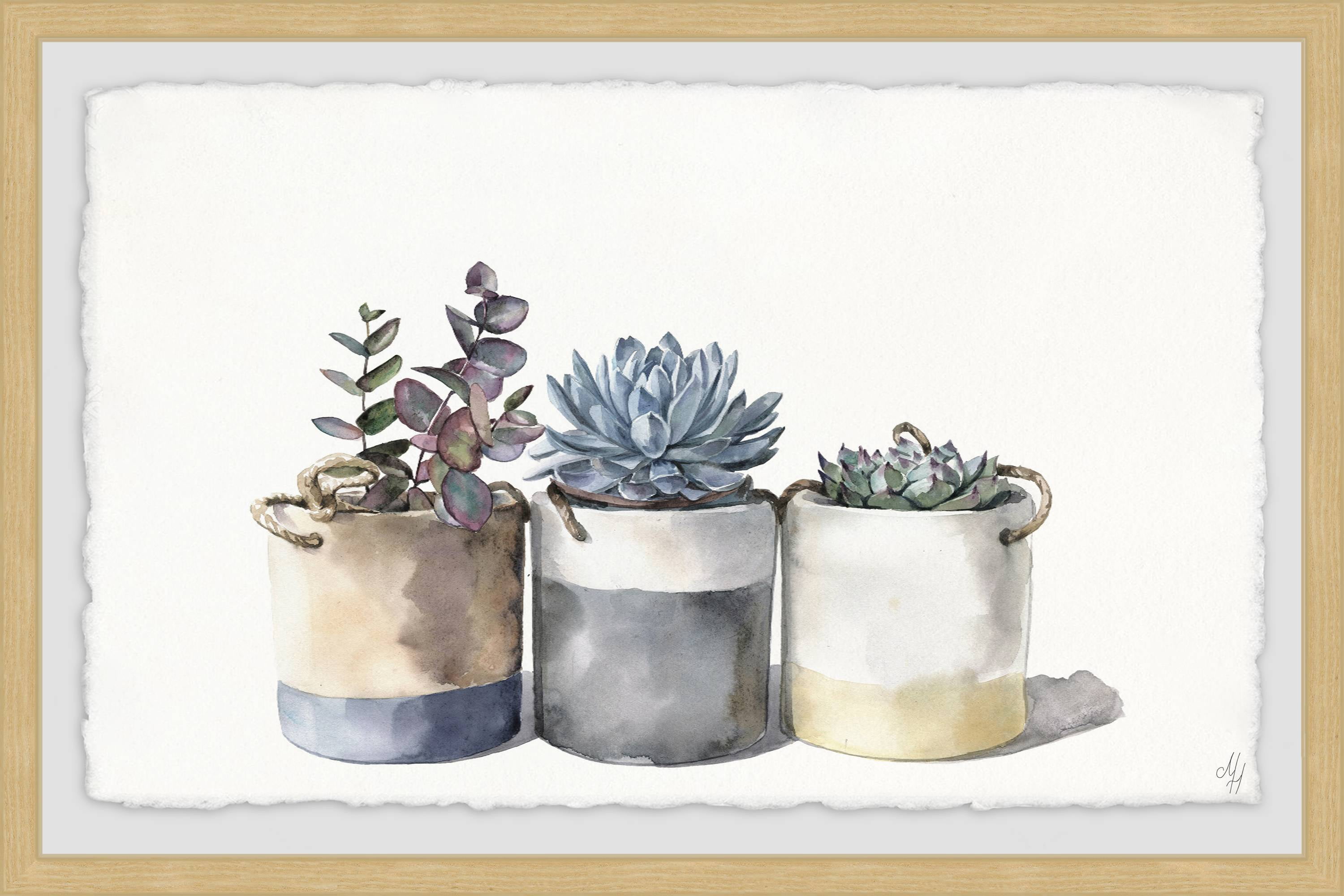 Granny's Cacti Framed Painting Art Print, 30.00" x 1.50"