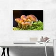 thumbnail image 2 of ARTCANVAS Mushrooms Home decor Canvas Art Print - Size: 26" x 18" (1.50" Deep), 2 of 9
